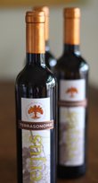 Verjus