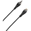 RCA Extension Cord 10 ft.