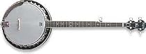 Washburn Banjo, 5 String