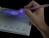 2 IN 1 Invisible Writer by Toysmith [Toy]