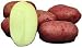 amorebio Bio Kartoffel rot vfk 1000 gr