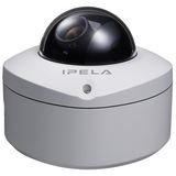 Ip Minidome Rugged Camera Outdr J/MPEG4 Csmount Poe Audio Motion