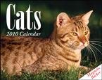 Cats 2010 Mini Desk Calendar