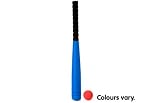 Baseball Bat and Foam Ball