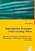 Reproductive Strategies of K/T-crossing Theria