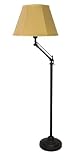Clearlite FC030UB20-38G Aspen Full Spectrum Adjustable Floor Lamp with Eco Bulb
