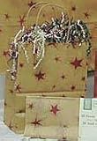 Gift Bag - Primitive Star - Medium