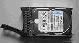 IBM 43W7576 Slim Line 750GB interne Festplatte (8,9 cm (3,5 Zoll), 7200 rpm, 9ms, SATA-300)
