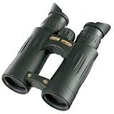 Steiner NightHunter Fernglas 10x 44