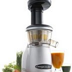 Omega VERT Nutrition Center Low Speed Juicing System VRT350