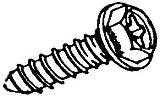 M6X20 Honda Style License Plate Screw-Zinc Gold (50 count)