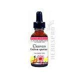 Eclectic Institute - Cleavers Extract, 2 oz liquid