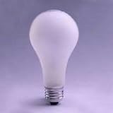 Sylvania Lighting 100W/RINO/SFELINE Rhinocoat-safeline Light Bulb 100w