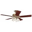 Hunter Fan 25579 52" Ceiling Fan With Light