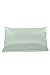 Fishers Finery 19mm 100% Pure Mulberry Silk Pillowcase, Good Housekeeping Quality Tested (Light Green, Q)