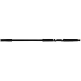 Shakespeare Two-Piece Ugly Stik Bigwater Spinning Rod