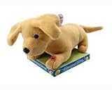 Mark Feldstein Animated Barking Dog Bank