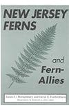 New Jersey Ferns and Fern Allies