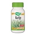 Kelp