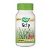 Kelp