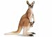 Schleich Kangaroo