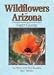 Wildflowers of Arizona Field Guide (Arizona Field Guides)