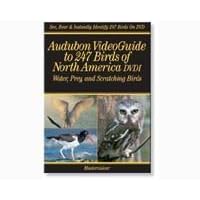 Audubon Video 247 Birds - Water, Prey and Scratching Birds by