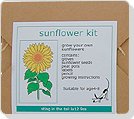 sunflower growing kit for children
