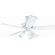 Hunter Fan 20436 42" Ceiling Fan with Light