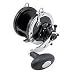 PENN FISHING TACKLE CO (113HN ) Big Water Conventional Reels 113HN BAJA SPECIAL 375YD 30 LB