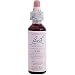 Nelson Bach USA - Oak, 20 Milliliter liquid
