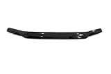 21kg2xGFCcL. SL160  Auto Ventshade 25823 Bugflector II Smoke Hood Shield
