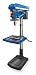 Westward 1KEN7 Floor Drill Press, 20 In, 1 HP, 115V, 15A