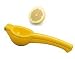Kitchen & Housewares : Lemon Squeezer-Metal