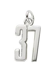 Rembrandt Charms Number 37 Charm
