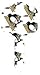 Pittsburgh Penguins Schlage SC1 House Key