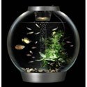 Biorb Aquarium Kit Tropical 30LTR