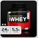 Optimum Nutrition Gold Standard 100% Instantized Whey, Double Rich Chocolate, 10-Pound Bag