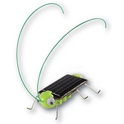 Build It Yourself OWI OWI-MSK670 FRIGHTENED GRASSHOPPER JR SCIENCE SERIES by OWI