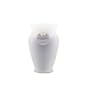 Northern Lights Candles - AromaZone Large Vase - Lavender Vanilla