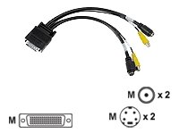 MATROX CAB-L60-2XTVF