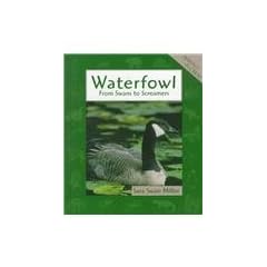 Waterfowl (Animals in Order)