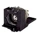 Toshiba TLP LET1 - Projector lamp