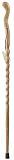 Fitness Walker Walking Stick