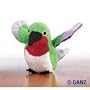Lil Kinz Hummingbird Webkinz
