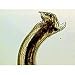 Hookworm