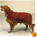 XXL Barn Jacket Red Dog Coat