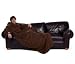 Kitchen & Housewares : Slanket - Chocolate