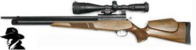 Evanix Renegade Rifle Combo air rifle