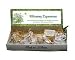 Cast Paper Art Shelf Display Blooming Expressions 48 pc(Christmas)